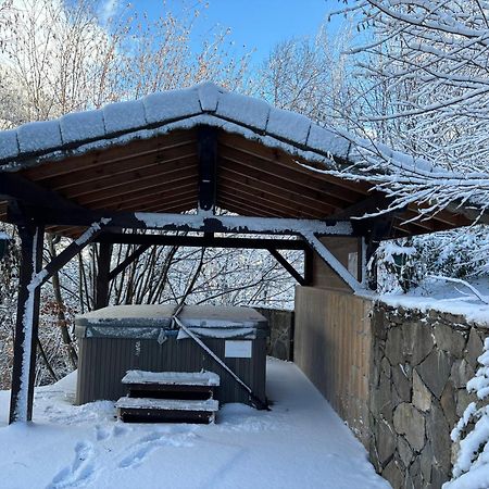 Chalet Adonis - Montriond, Morzine, Avoriaz Dış mekan fotoğraf