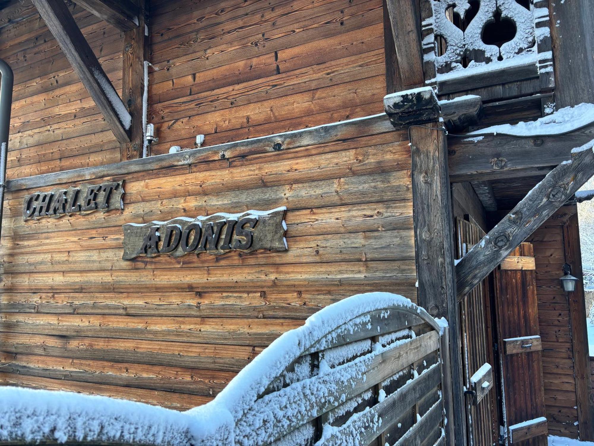 Chalet Adonis - Montriond, Morzine, Avoriaz Dış mekan fotoğraf