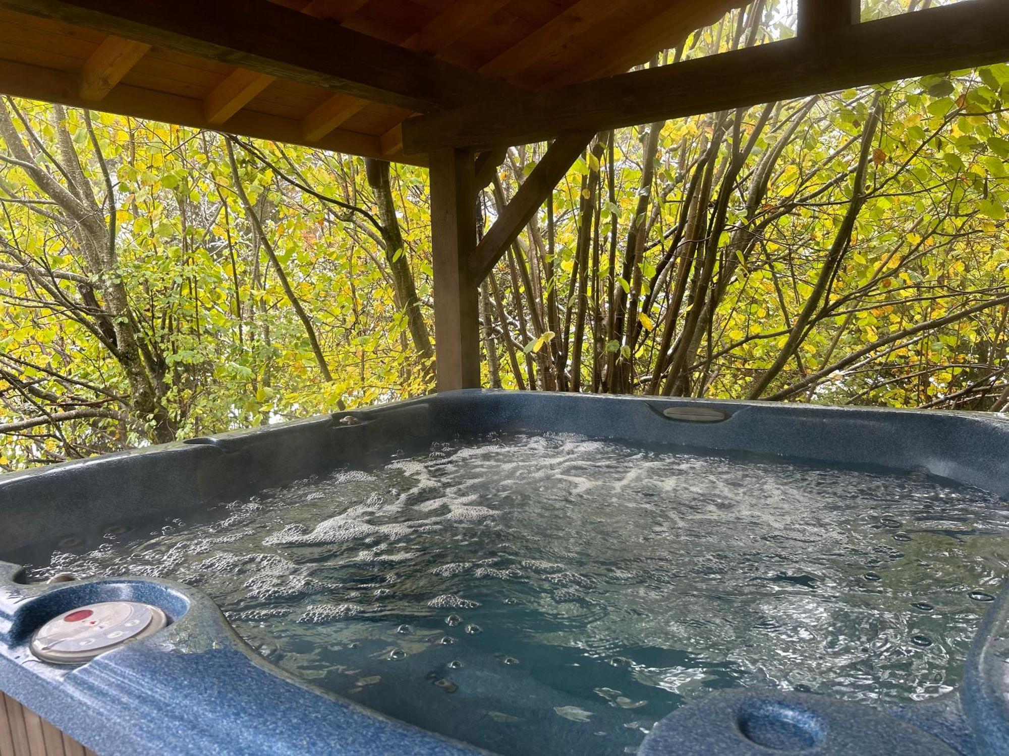 Chalet Adonis - Montriond, Morzine, Avoriaz Dış mekan fotoğraf