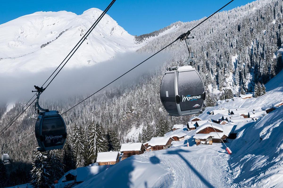 Chalet Adonis - Montriond, Morzine, Avoriaz Dış mekan fotoğraf